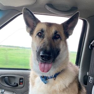 Meet your Posher, Taylor